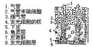 丁香实验推荐阅读