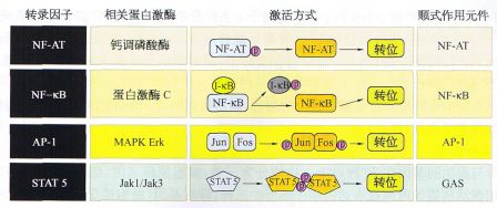 丁香实验推荐阅读