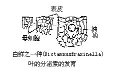 丁香实验推荐阅读