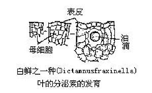 丁香实验推荐阅读