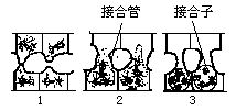 丁香实验推荐阅读