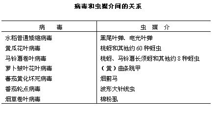 丁香实验推荐阅读