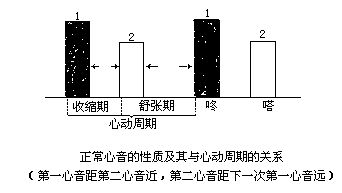 丁香实验推荐阅读