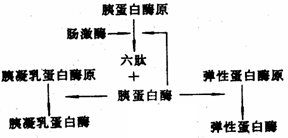 丁香实验推荐阅读