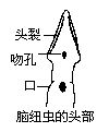 丁香实验推荐阅读