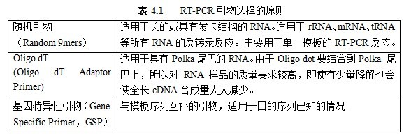 丁香实验推荐阅读