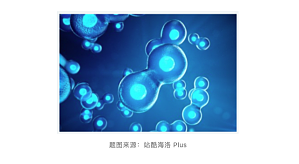 丁香实验推荐阅读
