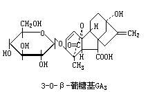 丁香实验推荐阅读