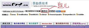 丁香实验推荐阅读