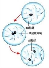 丁香实验推荐阅读