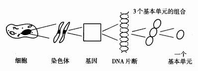 丁香实验推荐阅读