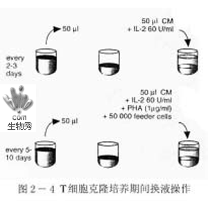 丁香实验推荐阅读