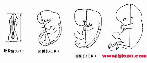 丁香实验推荐阅读