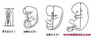 丁香实验推荐阅读