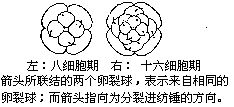 丁香实验推荐阅读