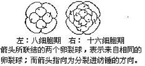 丁香实验推荐阅读