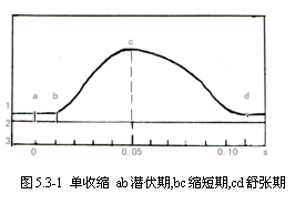 丁香实验推荐阅读