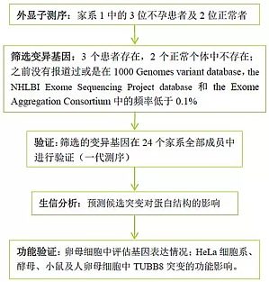 丁香实验推荐阅读