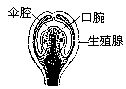 丁香实验推荐阅读