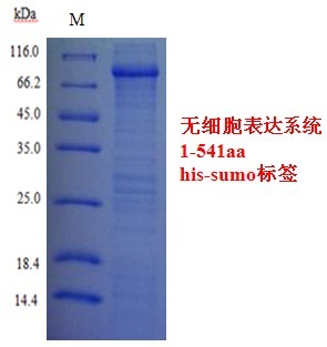 丁香实验推荐阅读