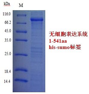丁香实验推荐阅读