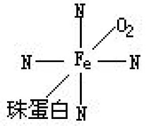 丁香实验推荐阅读