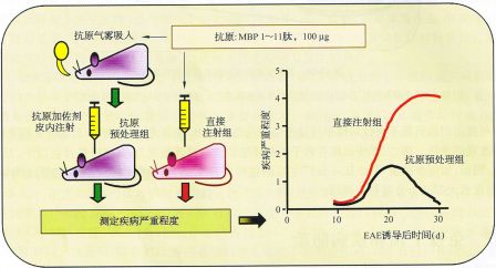 丁香实验推荐阅读