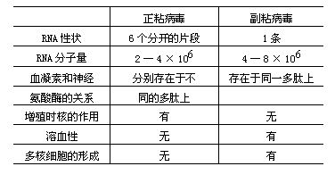 丁香实验推荐阅读