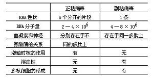 丁香实验推荐阅读