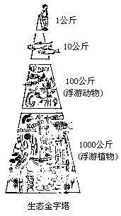 丁香实验推荐阅读