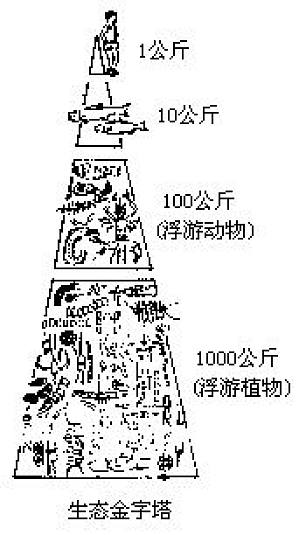 丁香实验推荐阅读