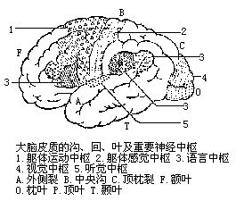 丁香实验推荐阅读