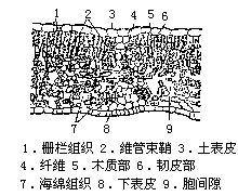 丁香实验推荐阅读