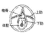 丁香实验推荐阅读