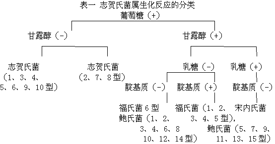 丁香实验推荐阅读