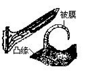丁香实验推荐阅读