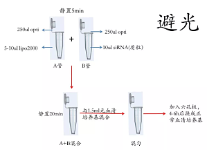 丁香实验推荐阅读