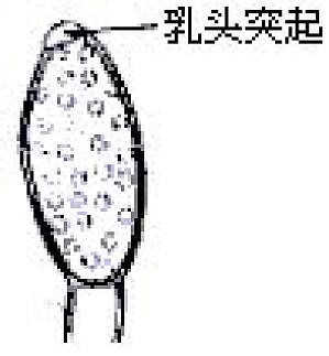 丁香实验推荐阅读