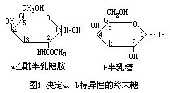 丁香实验推荐阅读