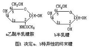 丁香实验推荐阅读