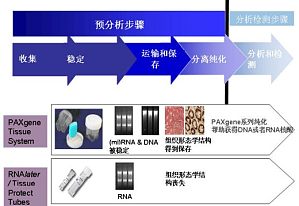 丁香实验推荐阅读