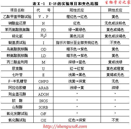 丁香实验推荐阅读