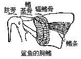 丁香实验推荐阅读