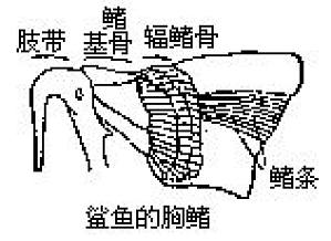 丁香实验推荐阅读