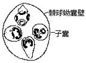丁香实验推荐阅读