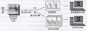丁香实验推荐阅读