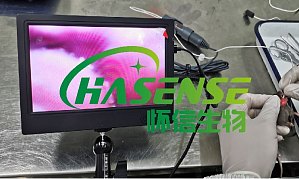 丁香实验推荐阅读