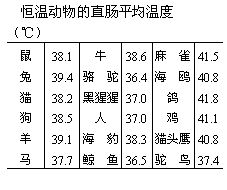 丁香实验推荐阅读