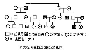 丁香实验推荐阅读