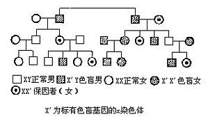 丁香实验推荐阅读
